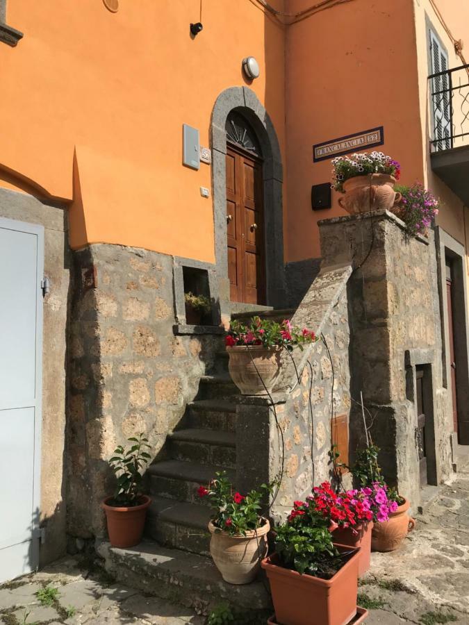 Francalancia52 Leilighet Bagnoregio Eksteriør bilde